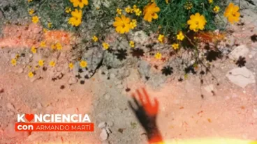 Konciencia