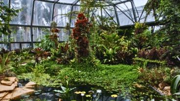 La alianza científica incluye expediciones botánicas y conservación 