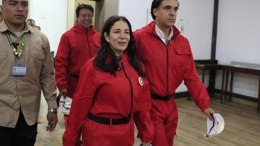 Sondra Macollins candidatura