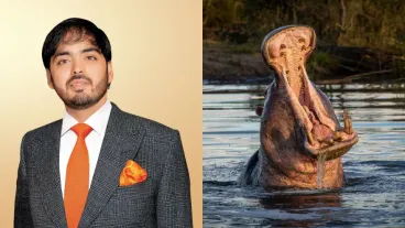 Anant Ambani