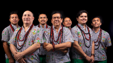 Los Mirlos: la selva que se volvió sonido