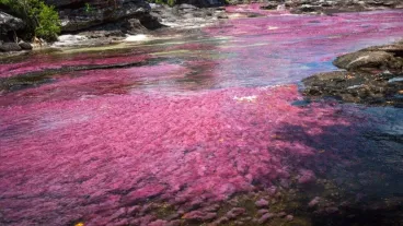 caño-cristales-temporada