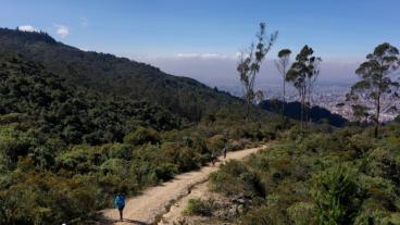 La serrana sendero