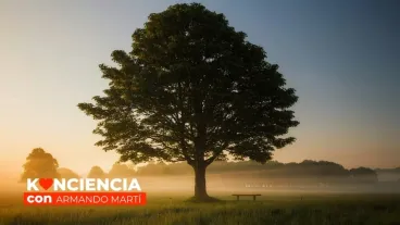 La humildad: cuando el ego se hace pequeño, la vida se hace grande