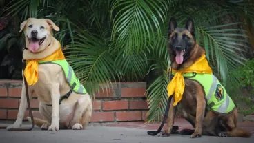 Nika y Estrella