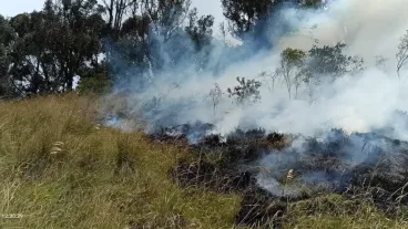 Incendios Forestales 
