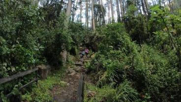 cerros