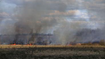 Incendio