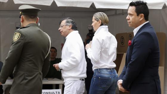Verónica Alcocer elecciones legislativas