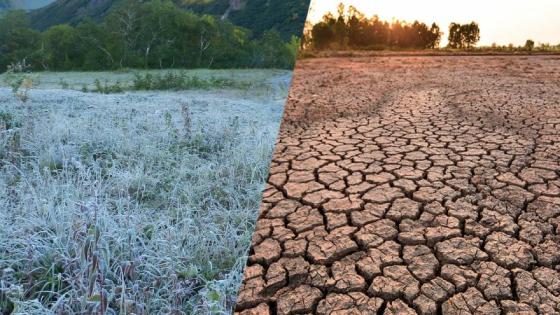 ‘Súper El Niño’ 2026: qué es y cómo podría afectar a Colombia