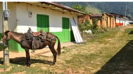¿Qué pasó en El Aro y La Granja?, los casos que investiga la Fiscalía