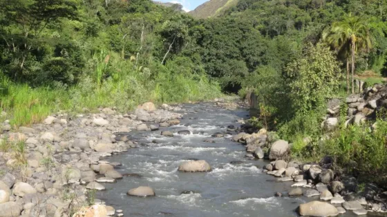 Río Negro