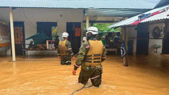 Casanare-ayudas- Ejército
