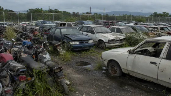 Patios llenos y carros abandonados: Procuraduría lanza alerta ambiental