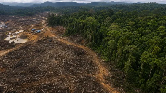 MinAmbiente-alerta-deforestación-Parques-Naturales