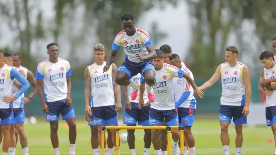 Tras el Mundial 2026, ¿qué viene para la Selección Colombia?