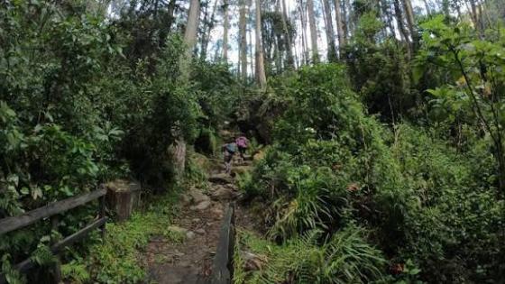 cerros