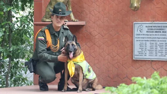 Nika - Policía-Cúcuta