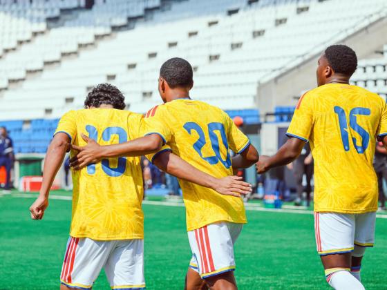 Camiseta de la Selección Colombia. 